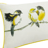 wash-all-birds-in-pillow-case