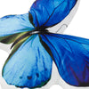 3d-butterfly-pillow