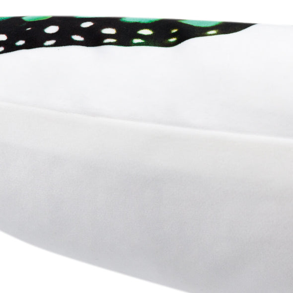 case-for-a-pillow