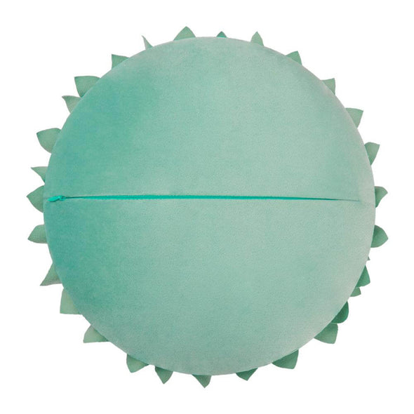 round-velvet-pillow-case