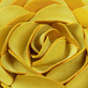 speacial-shape-small-gold-pillow