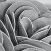 light-grey-throw-pillows