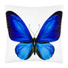 thick-blue-velvet-pillow-case-with-butterfly
