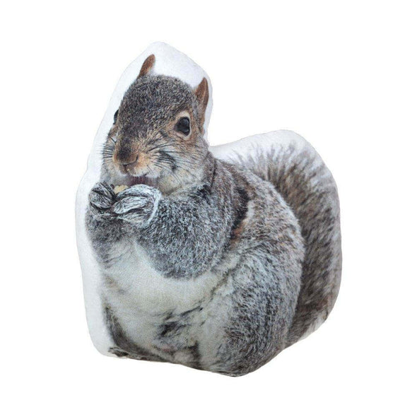 3d-squirrel-pillow