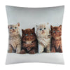 custom-cat-pillow