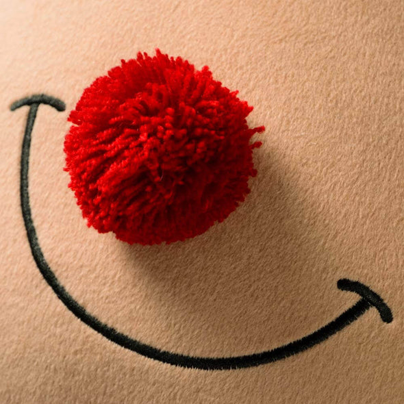 3d-red-nose-on-reindeer-pillow