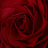 rose-pillow-cases