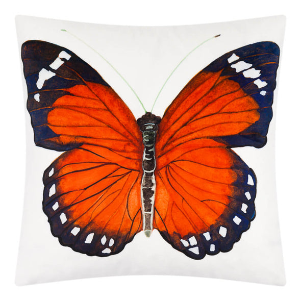 nice-couch-pillows-with-butterfly