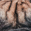 dog-pillow-print