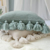 beautiful-decorative-tasseled-pillow 