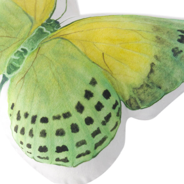 butterfly-plush-throw-pillows