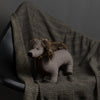 dog-throw-pillows