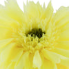 pale-yellow-throw-pillows